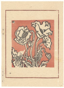Poppies from the book Nihon no Hana